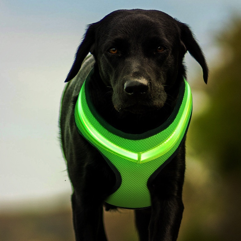 LED Luminous Dog Harness Led USB Charging Dog Chest Strap Vest Pet Safety Reflective Harness Pet Vest For Puppy Large Dog Pet Products - Image 2