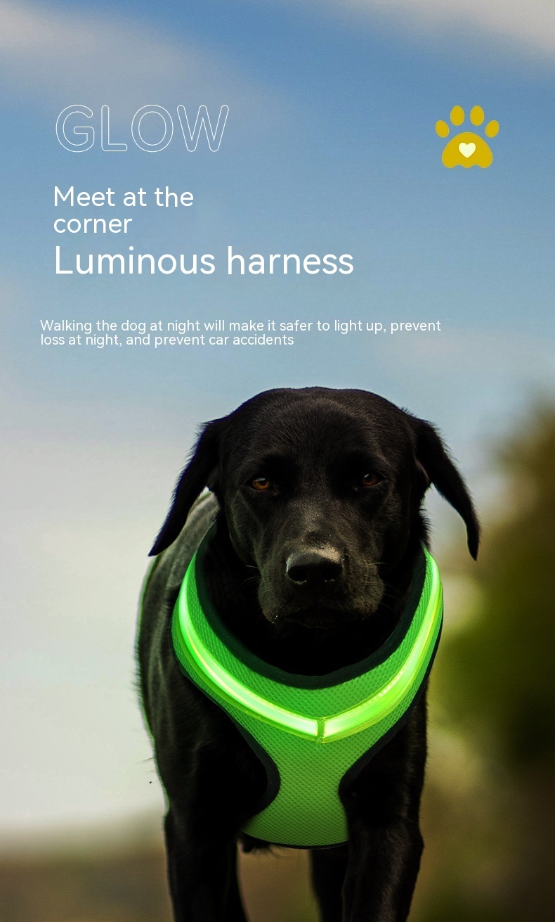LED Luminous Dog Harness Led USB Charging Dog Chest Strap Vest Pet Safety Reflective Harness Pet Vest For Puppy Large Dog Pet Products - Image 4